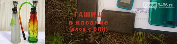 прущие грибы Арсеньев