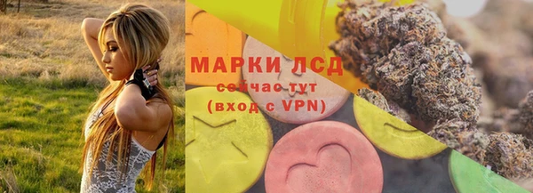прущие грибы Арсеньев